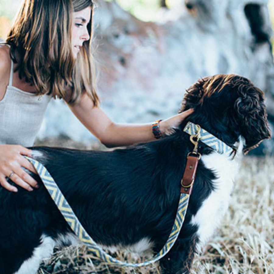 Ladran Gaucho Collar Scud hecho a mano para perros, , large Imagen numero 3